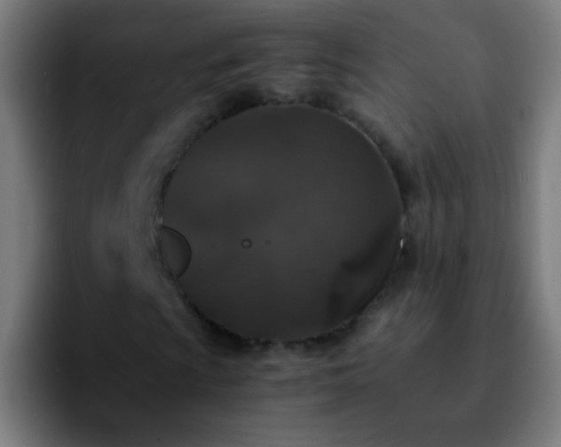 X0000092291009200709211209