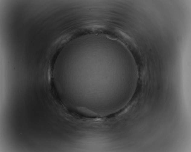 X0000092291014200709211209