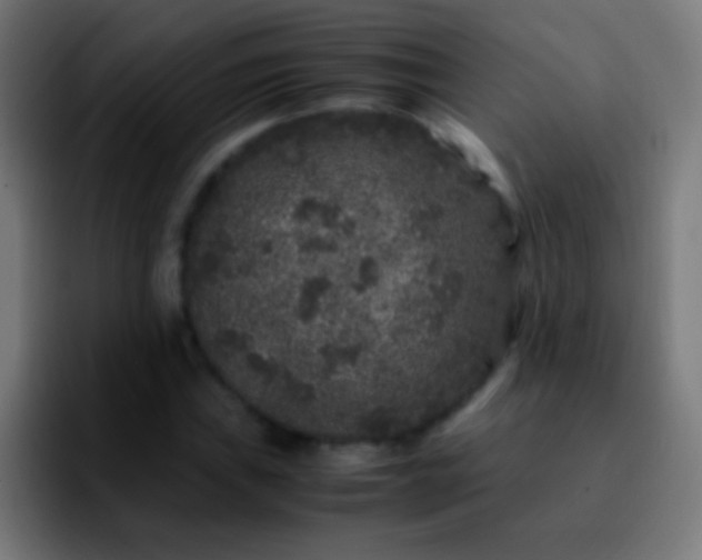 X0000092291019200709211209