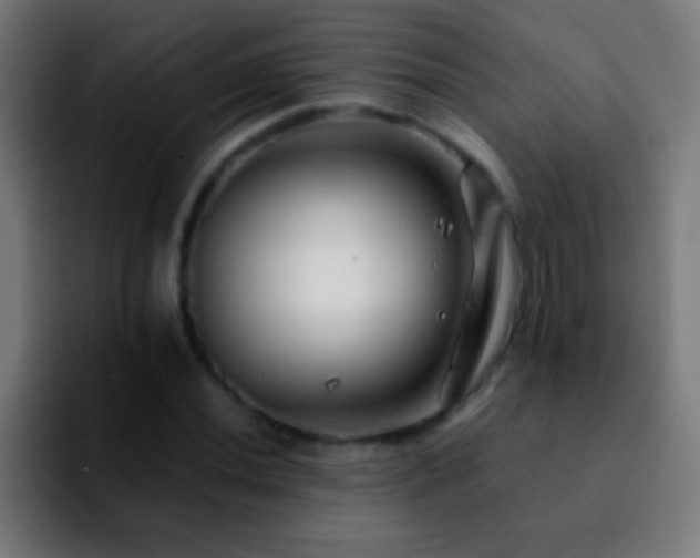 X0000092291020200709211209