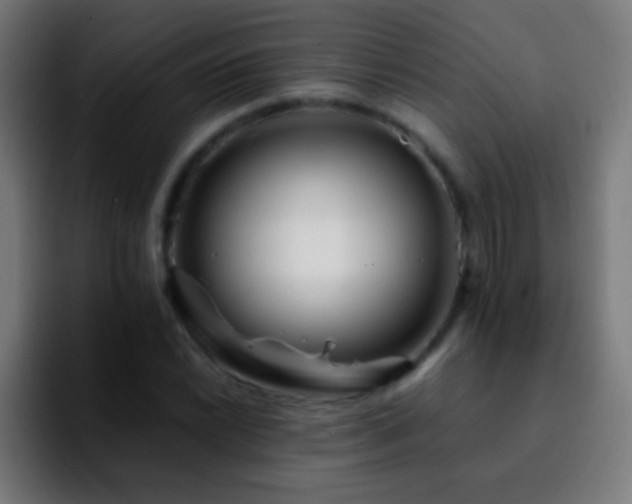 X0000092291022200709211209