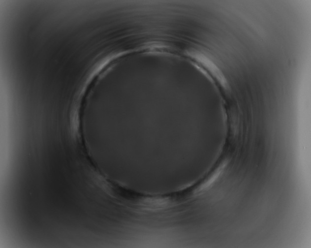 X0000092291023200709211209