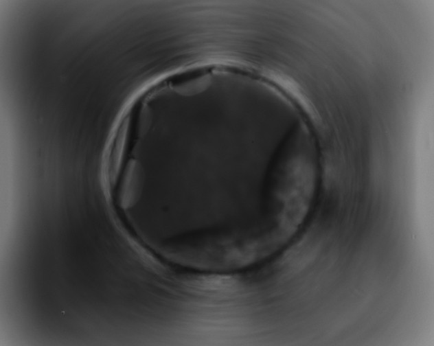 X0000092291024200709211209