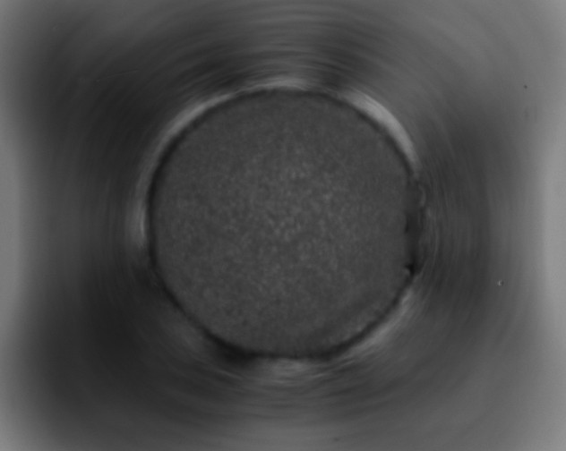 X0000092291027200709211209