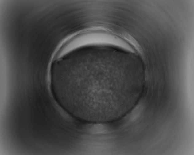 X0000092291028200709211209