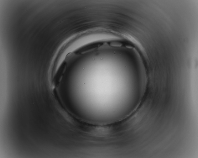 X0000092291029200709211209