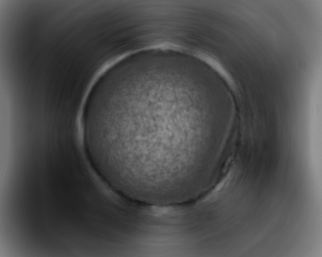 X0000092291032200709211209