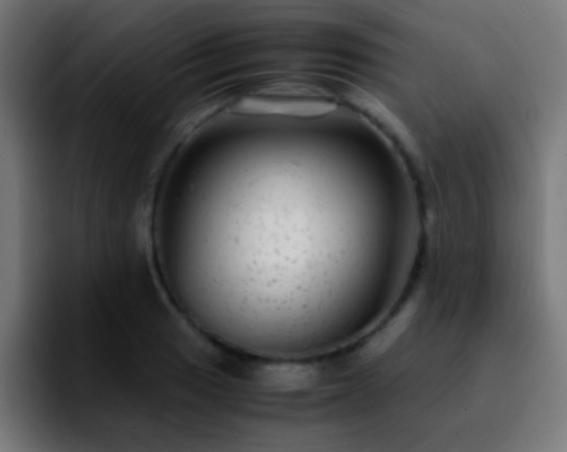 X0000092291033200709211209