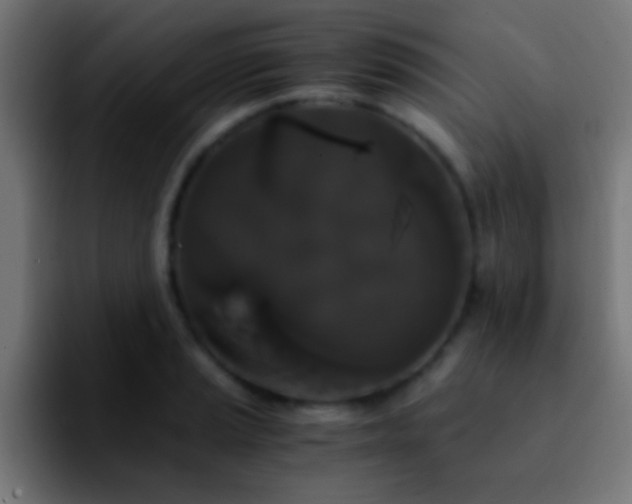 X0000092291037200709211210