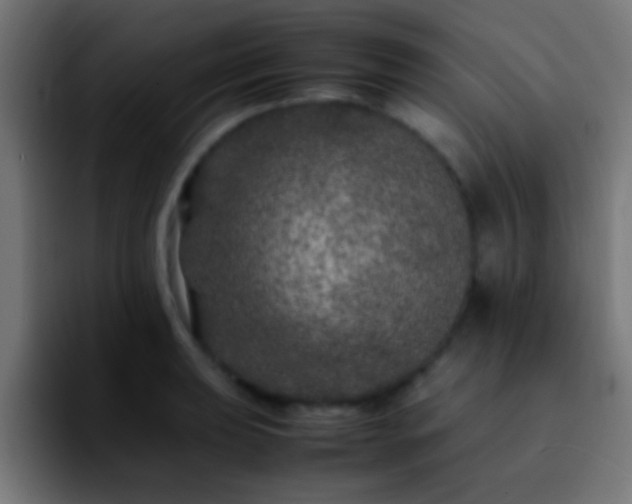 X0000092291039200709211210