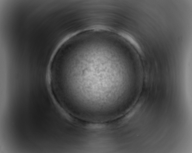 X0000092291040200709211210