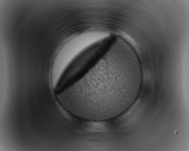 X0000092291041200709211210