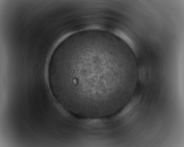 X0000092291043200709211210