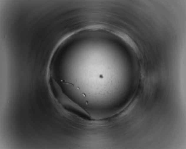 X0000092291044200709211210