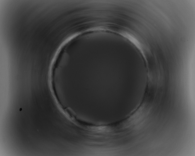 X0000092291045200709211210