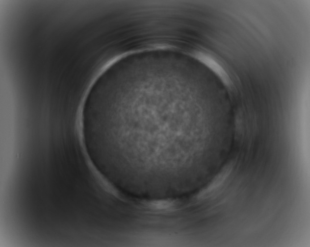 X0000092291047200709211210