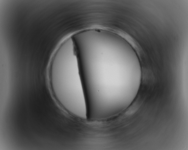 X0000092291048200709211210