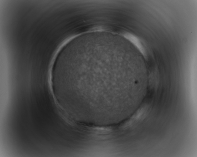 X0000092291051200709211210