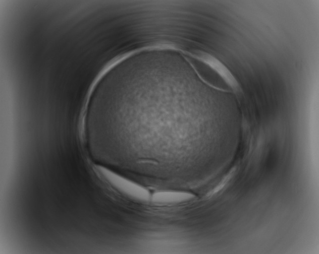 X0000092291052200709211210