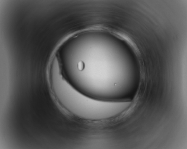 X0000092291054200709211210