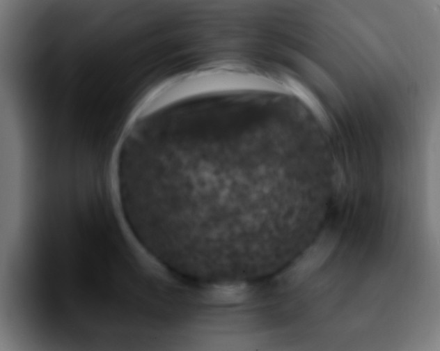 X0000092291055200709211210