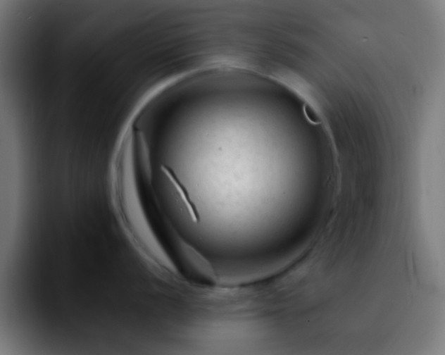 X0000092291056200709211210