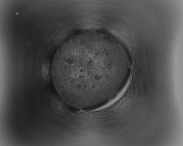 X0000092291059200709211209