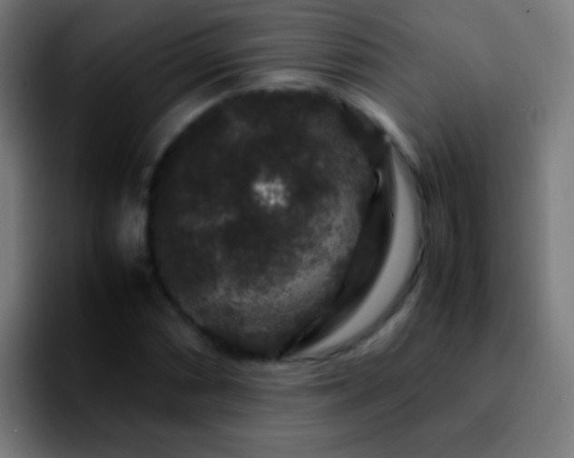 X0000092291066200709211209