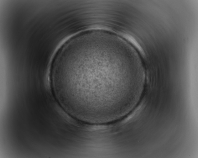 X0000092291068200709211209