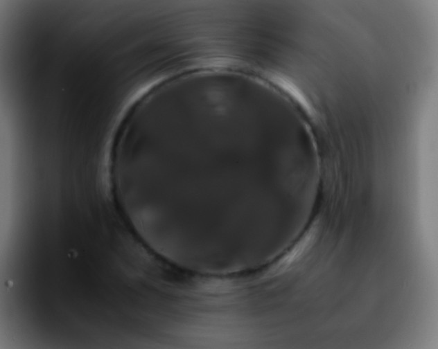 X0000092291071200709211209