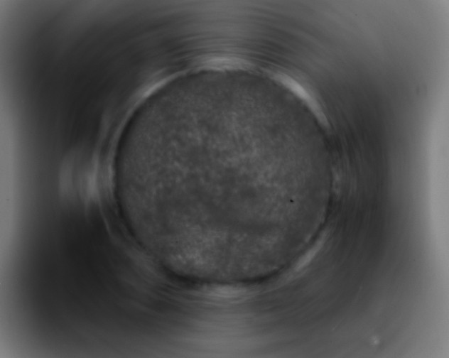 X0000092291074200709211209