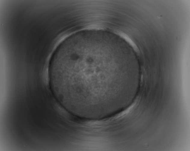 X0000092291075200709211209