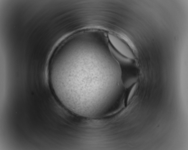 X0000092291076200709211209