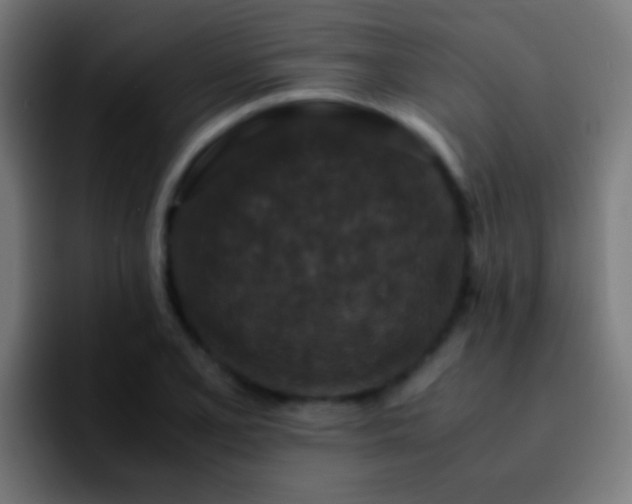 X0000092291077200709211209