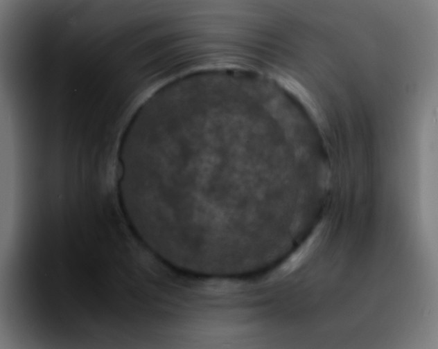 X0000092291081200709211209