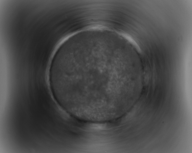 X0000092291086200709211209