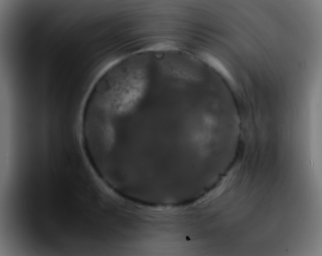 X0000092291087200709211209