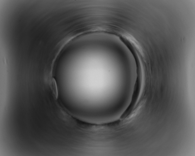 X0000092291089200709211209