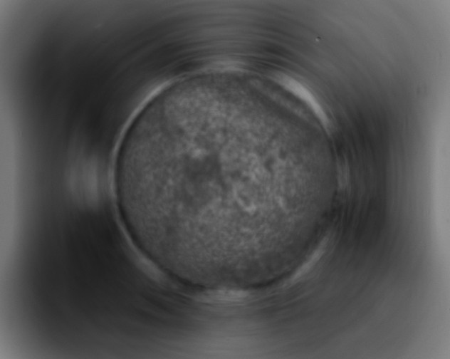 X0000092291090200709211209