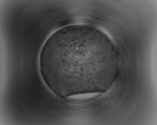 X0000092291091200709211209