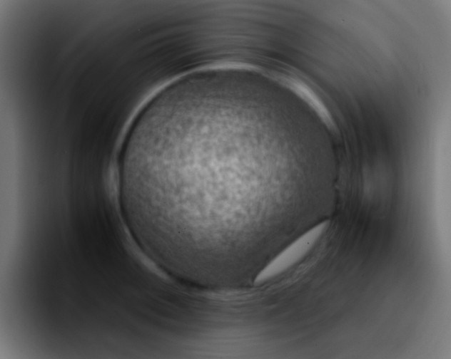 X0000092291092200709211209