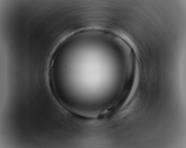 X0000092291093200709211209