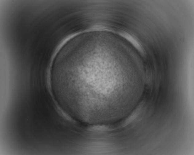 X0000092291094200709211209