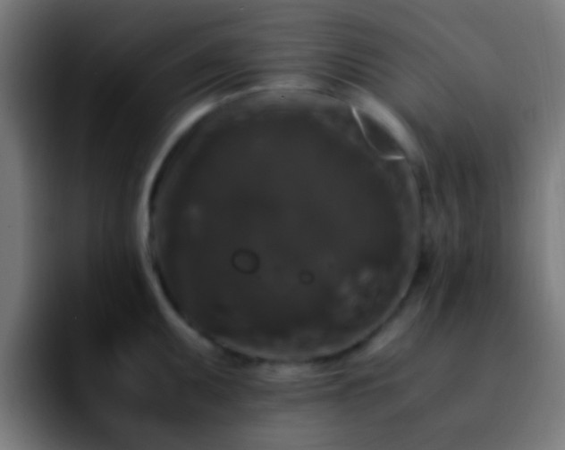 X0000092291095200709211209