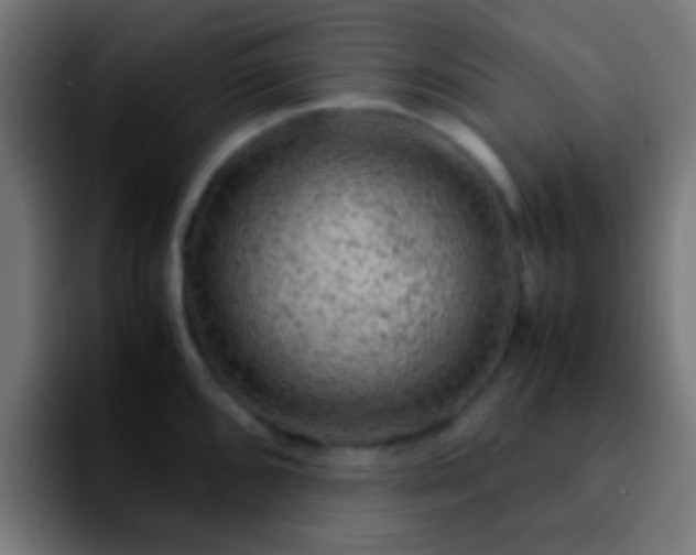 X0000092291096200709211209