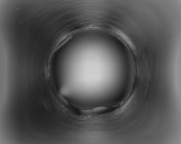 X0000092291097200709211209