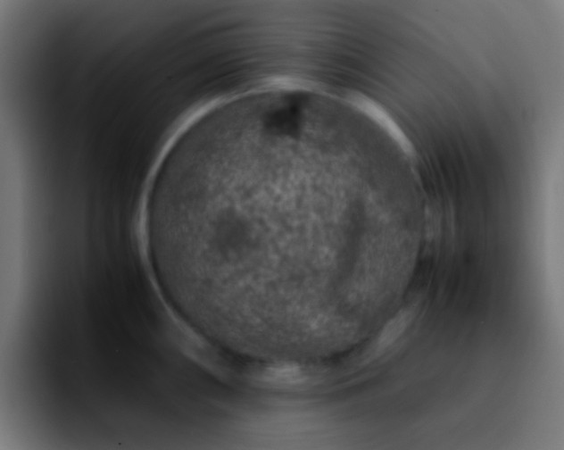 X0000092291098200709211209