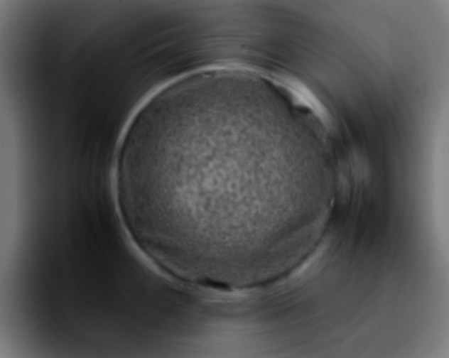 X0000092291100200709211209