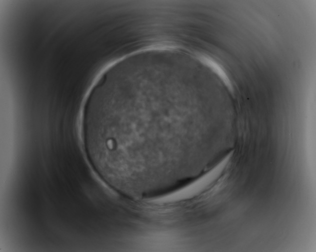 X0000092291103200709211209