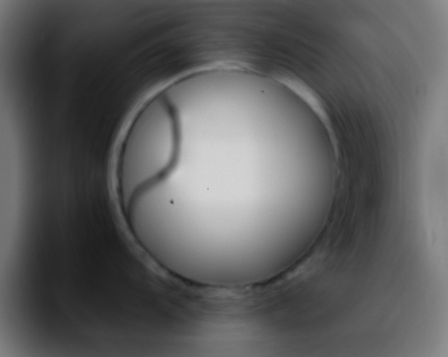 X0000092291104200709211209